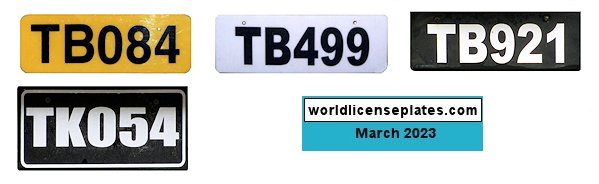 Commercial or Rental License Plates