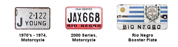 Non-Passenger/Other License Plates