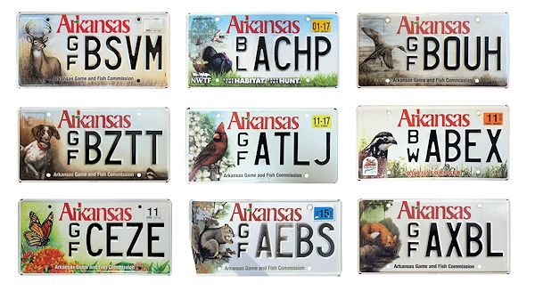 Special Interest License Plates