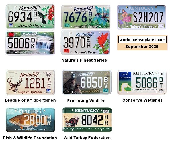 Special Interest License Plates