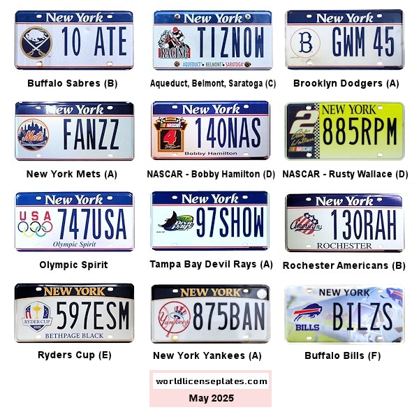 Special Interest License Plates