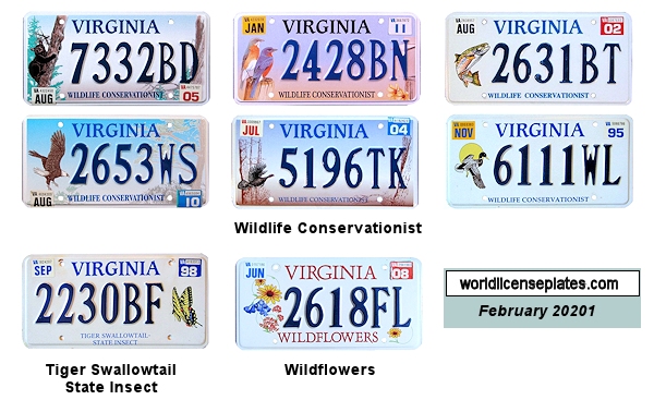 Special Interest License Plates