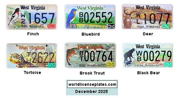 Conservation Special Interest License Plates