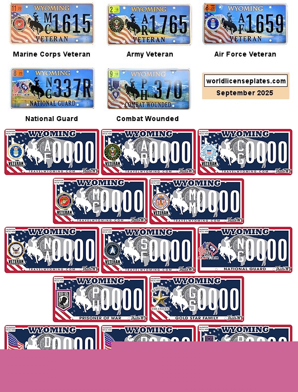 Military Related License Plates