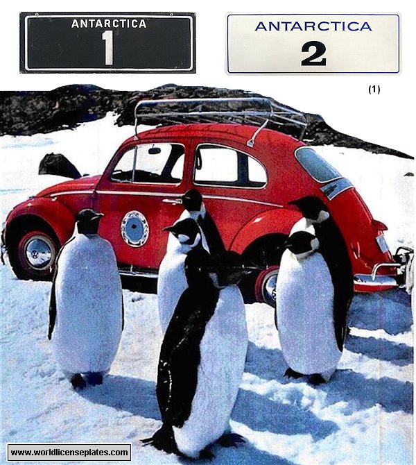 Antarctica Red Beetle License Plate